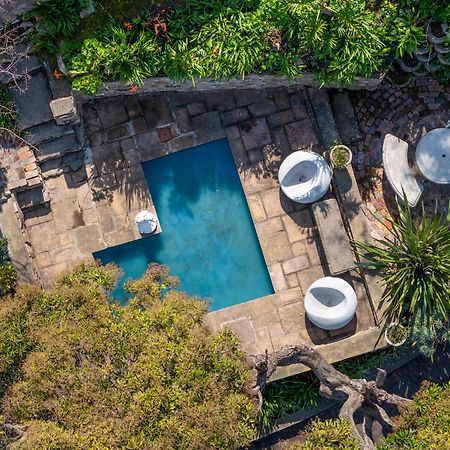 Phoenix Lodge And Waterside Accommodation Knysna Extérieur photo